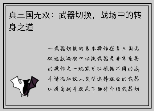 真三国无双：武器切换，战场中的转身之道