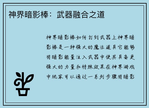 神界暗影棒：武器融合之道